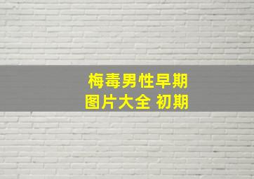 梅毒男性早期图片大全 初期